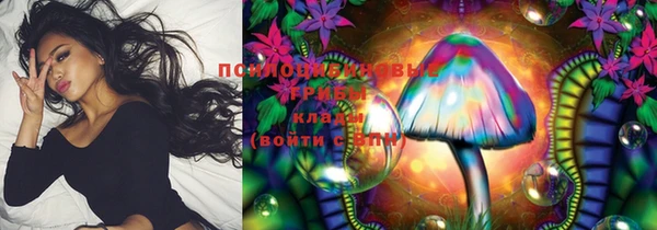 гидра Покров