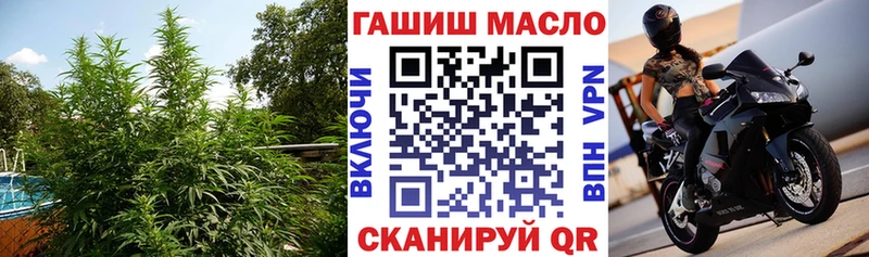 как найти наркотики  MEGA ССЫЛКА  Дистиллят ТГК вейп с тгк  Закаменск 